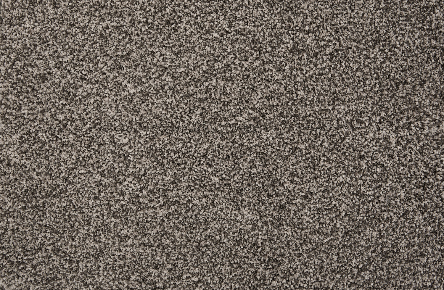 Stanton Knights Tale II - Cinder