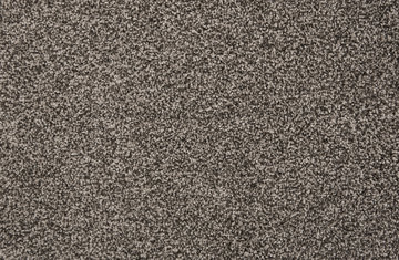 Stanton Knights Tale II - Cinder