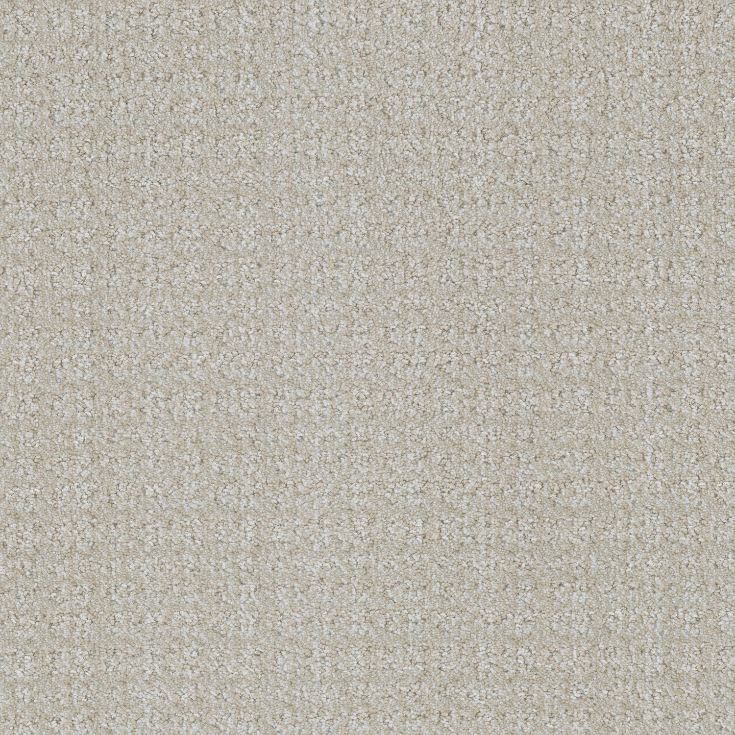 Masland Purebred - Maltese