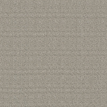 Masland Purebred - Labrador