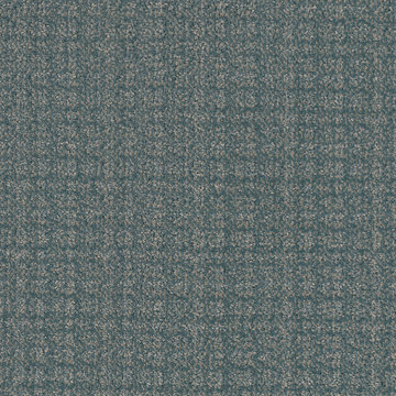 Masland Purebred - Pinscher