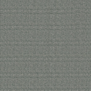 Masland Purebred - Malamute