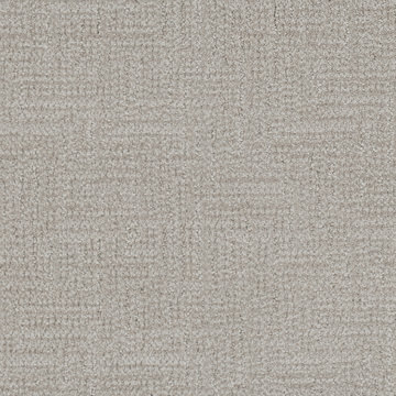 image Masland Prestigious - Sculpture Grey