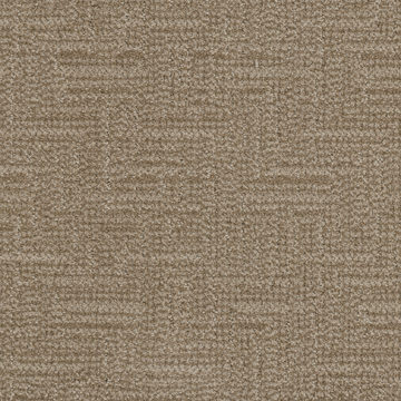 image Masland Prestigious - Latte