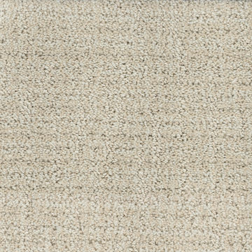 image DH Floors Connection - Sunlit