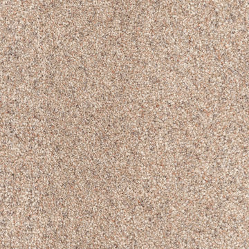 image DH Floors Great Dane - Treat