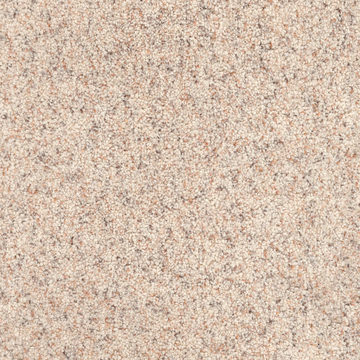 image DH Floors Great Dane - Pet