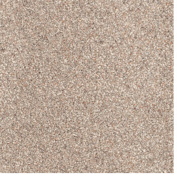 Dh Floors Great Dane - Canine