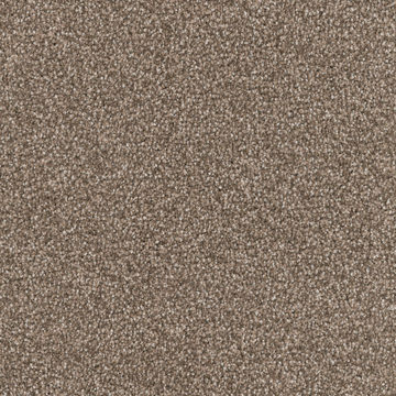 image DH Floors Great Dane - Pinscher