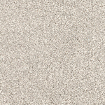 image Dh Floors Great Dane - Pomeranian