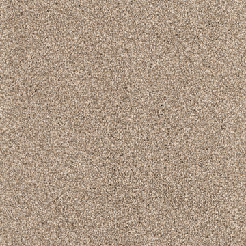 image DH Floors Great Dane - Shar-Pei