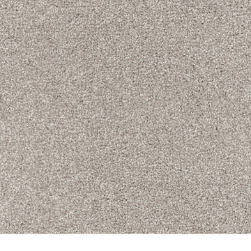 Dh Floors Great Dane - Yorkie