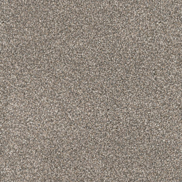 Dh Floors Great Dane - Greyhound