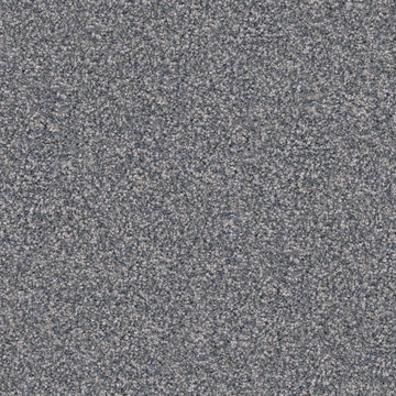 image Dh Floors Great Dane - Pumi