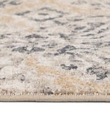 Minerva/Branson Area Rug - 3′3″ X 5′3″ thumbnail 5