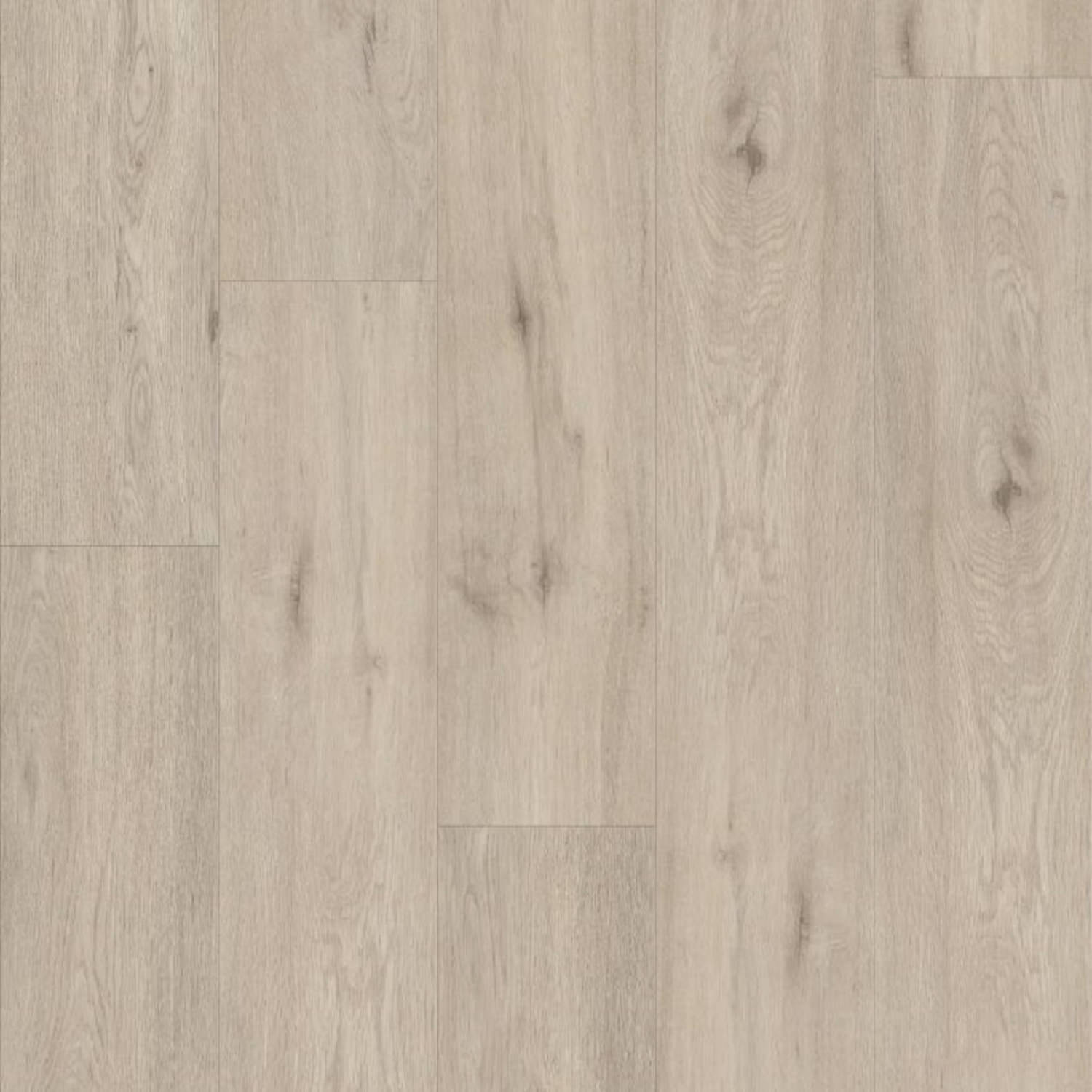 Shaw Pantheon HD Plus - Argento
