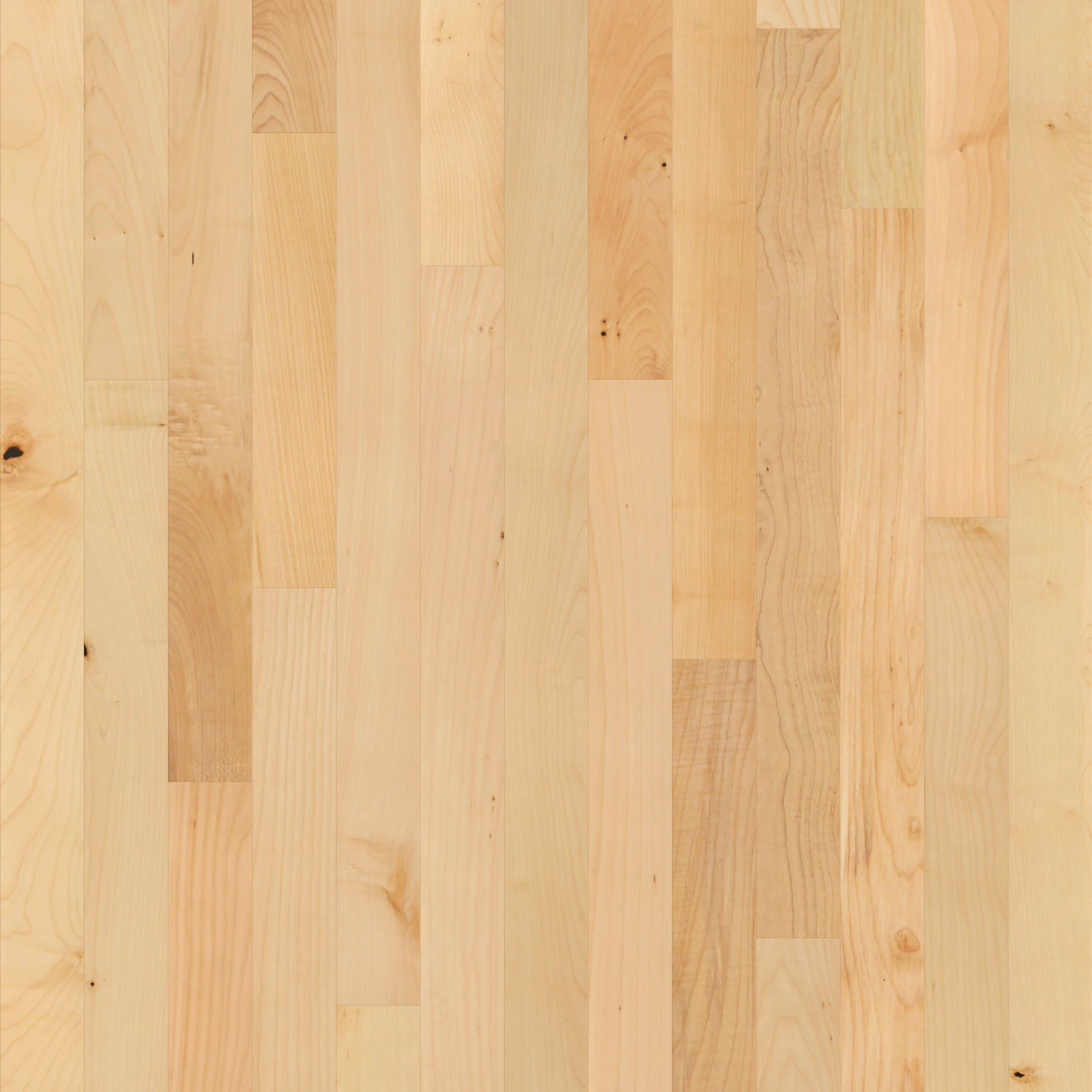 Shaw Natural Classics Maple