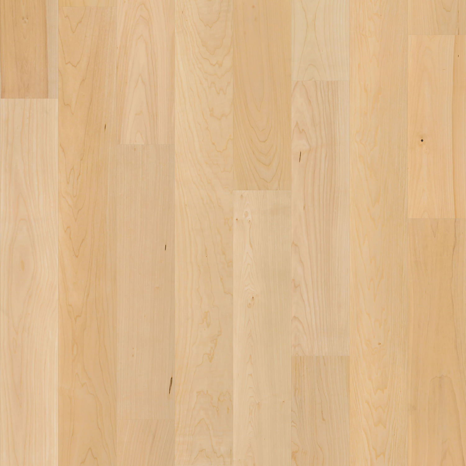 Shaw Natural Classics Maple