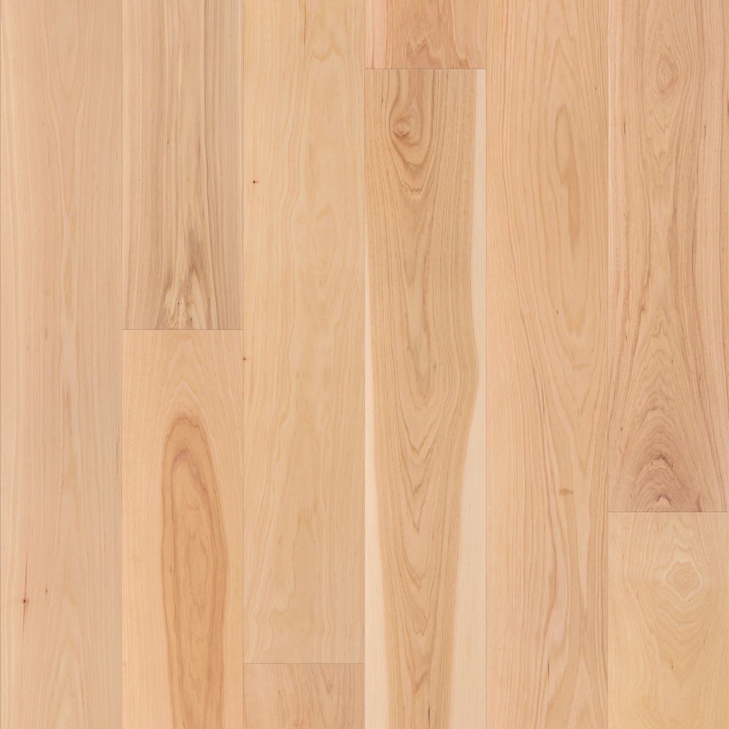 Shaw Natural Classics Hickory