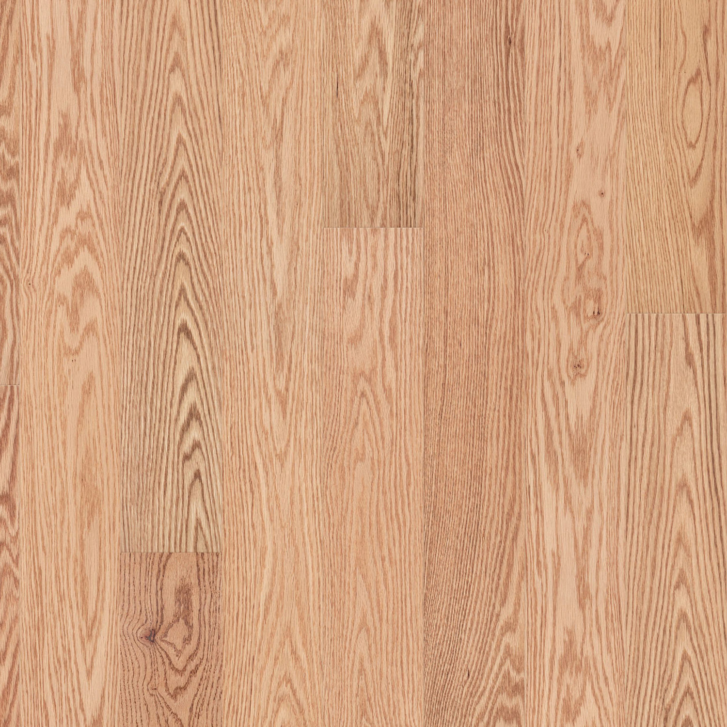 Shaw Natural Classics Red Oak