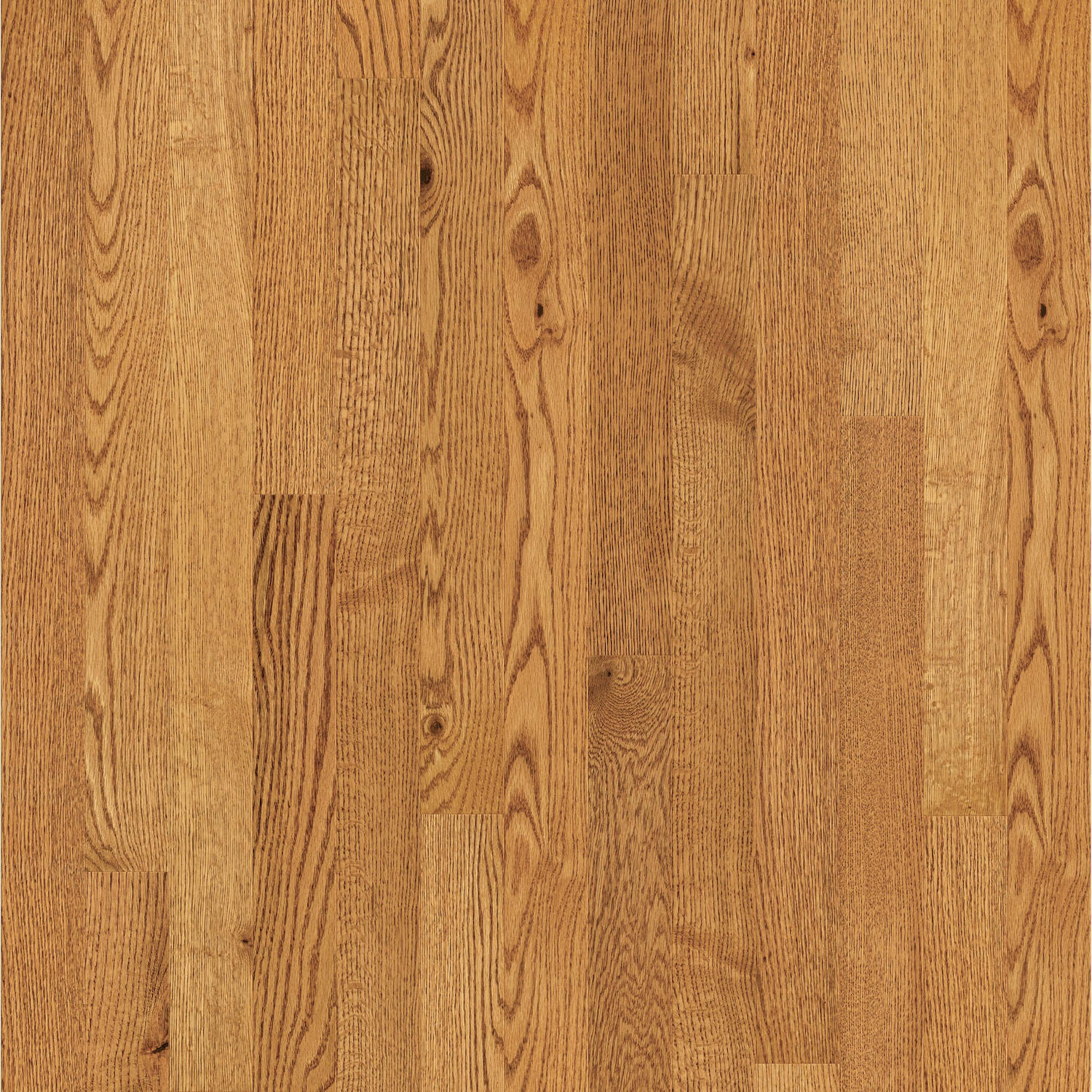 Shaw Lineage Oak - Honey