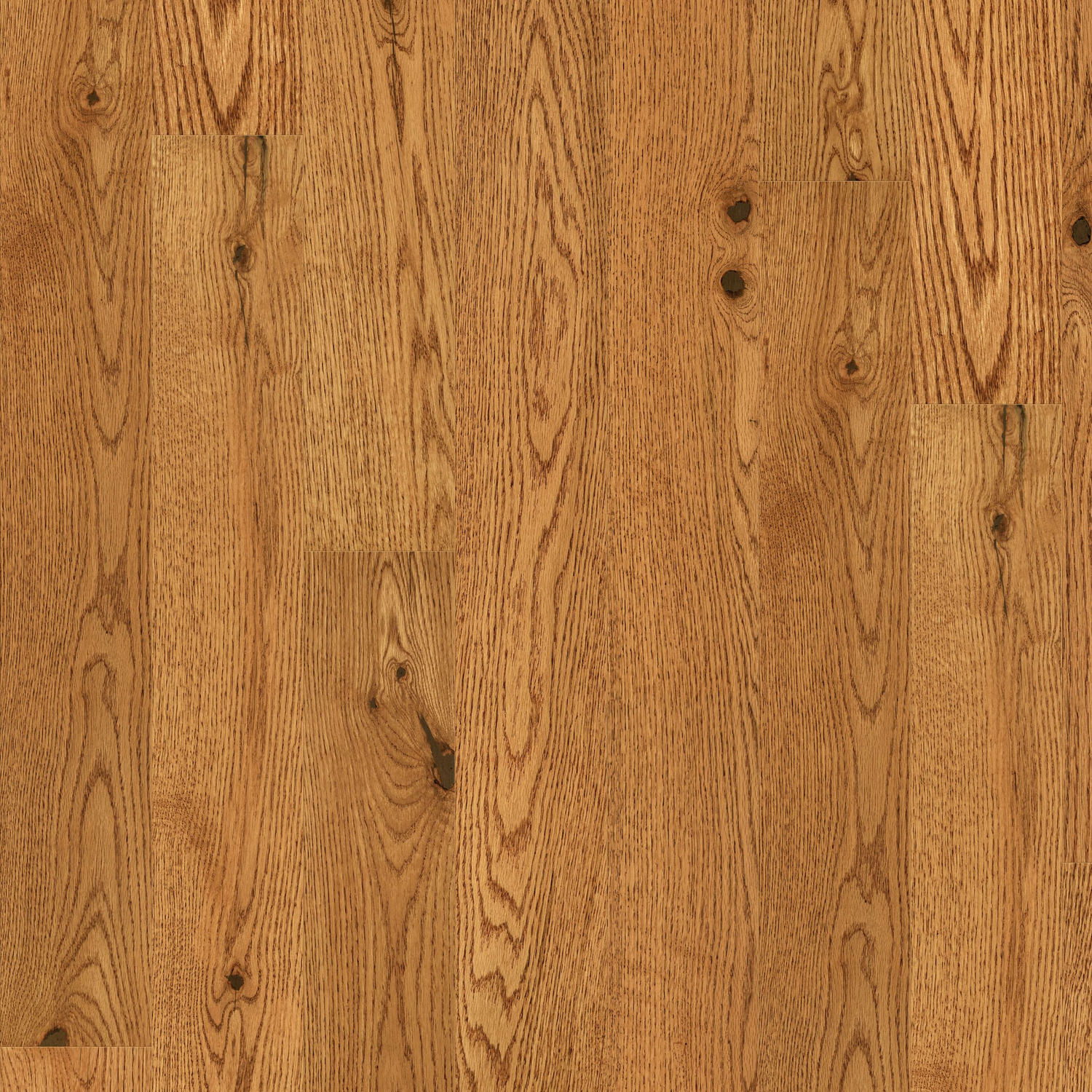 Shaw Lineage Oak - Honey