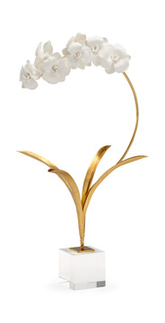 image Small Orchid On Stand
