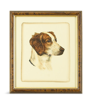 image Danchin Brittany Spaniel Framed Art