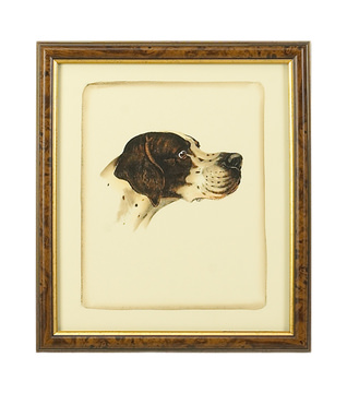 image Danchin Pointer Framed Art
