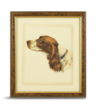 image Danchin Cocker Spaniel Framed Art