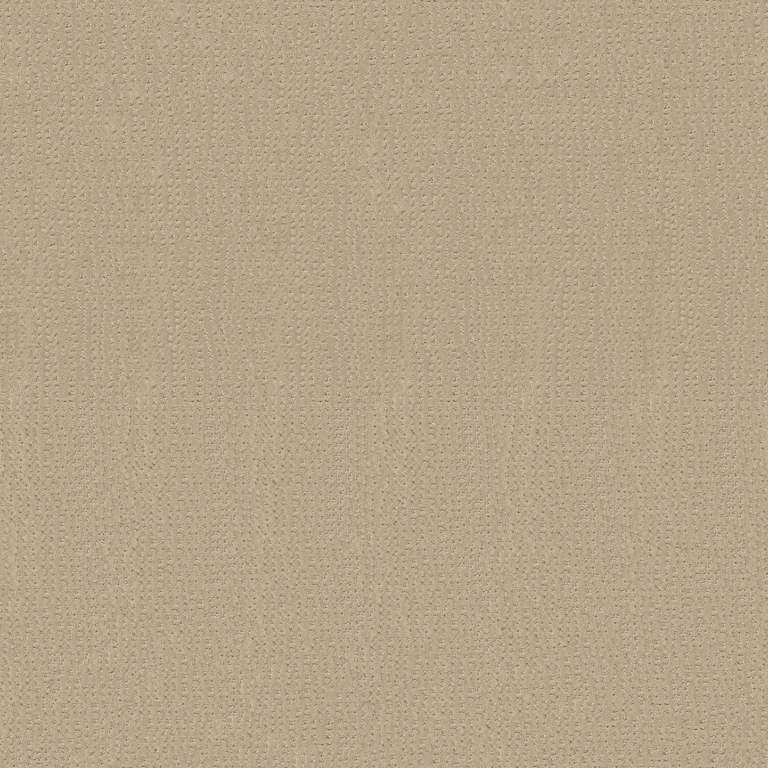 Shaw Vivid Memories - Sun Kissed