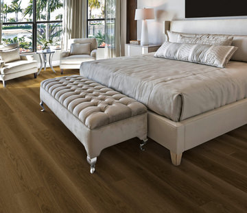 Provenza New Wave - Night Owl