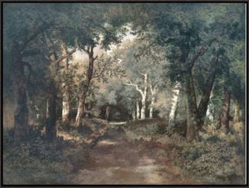 image Through The Forest I Framed Art