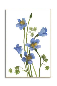 image Morning Wisdom II Framed Art