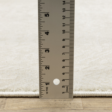 Raylan Ivory/Ivory Area Rug - 8′0″ X 11′0″