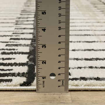 Raylan Ivory/Black Area Rug - 8′0″ X 11′0″