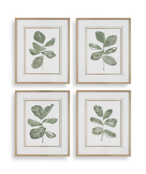 Fiddle Head Leaf Framed Art Set Of 4
