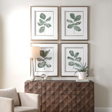 Fiddle Head Leaf Framed Art Set Of 4 thumbnail 2