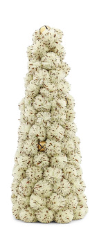 image Cone Shape Ball Tree