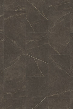 image Canopy Flex Tile - Marquina Nero