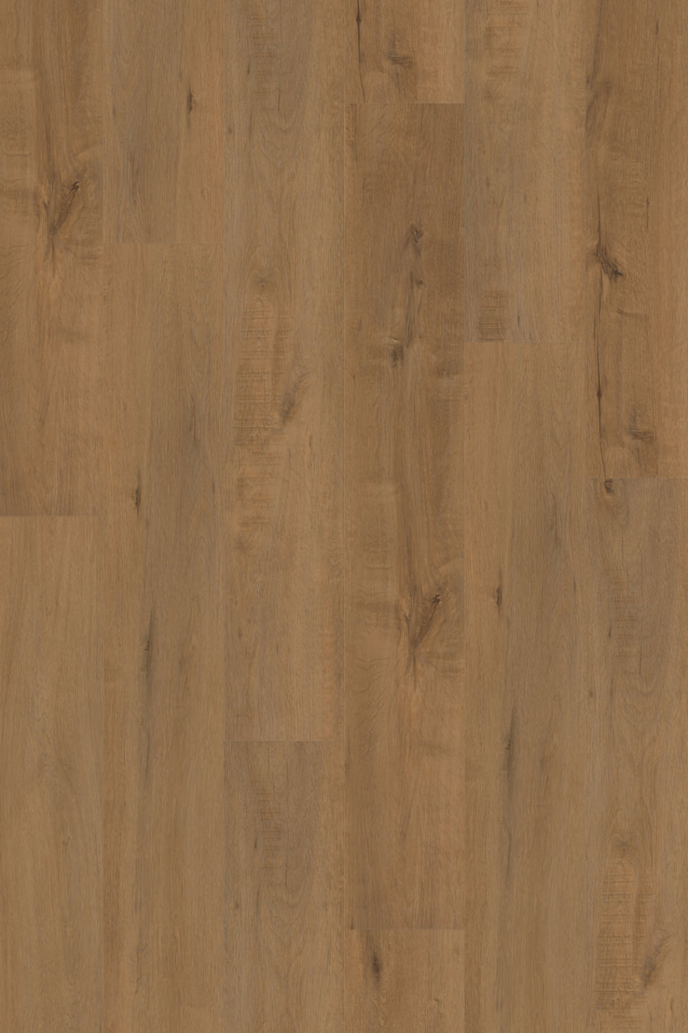 IFC Founders - Leconte Oak