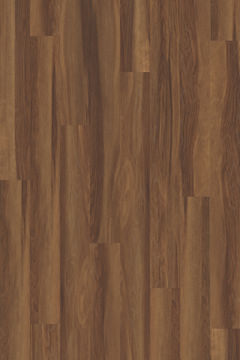 image IFC Founders - Boone Hickory