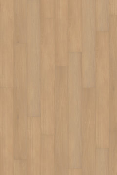 Canopy Comfort - Ivory Oak