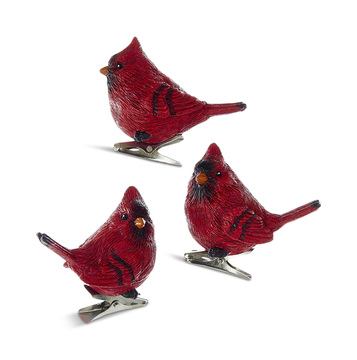 Cardinal With Clip