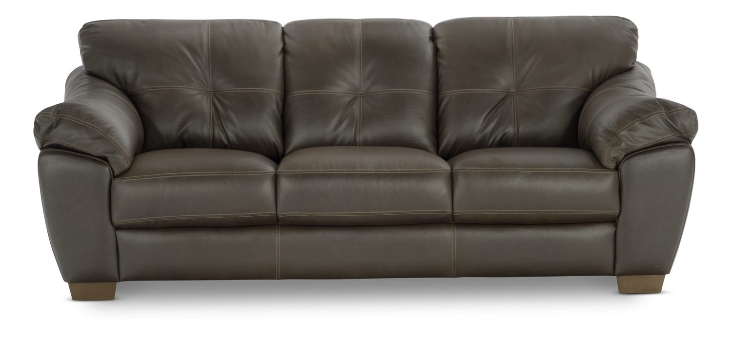 phoenix leather power reclining sofa
