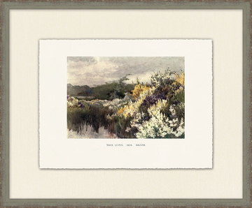 image Garden Color 3 Framed Art