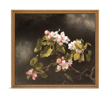 image Hummingbird Blossoms Framed Art