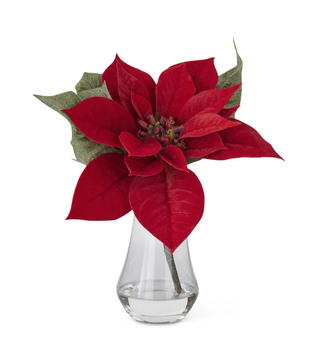 Poinsettia In Vase