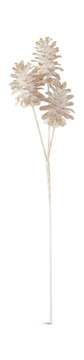 Pinecone Stem