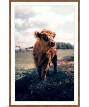 Innocent Gaze Framed Art